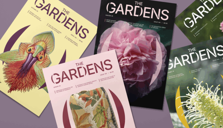 council upload 3 768x442